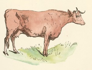 item thumbnail for Cattle Producer's Handbook Collection